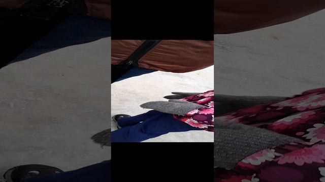 1000005778.mp4