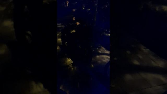 Велопатруль