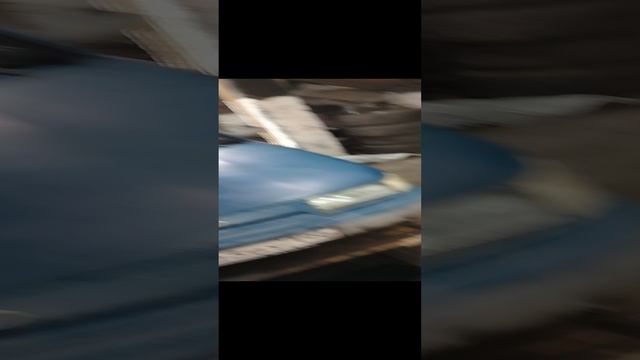 Госпожа и хранительница покоев БОНЯ и  Мишаня механ, представляют вашему вниманию  2110 (чирибас)
