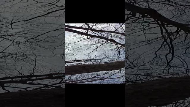 1000013989.mp4