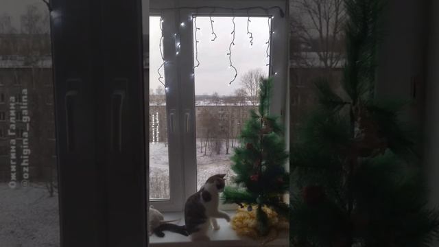 В ожидании чуда