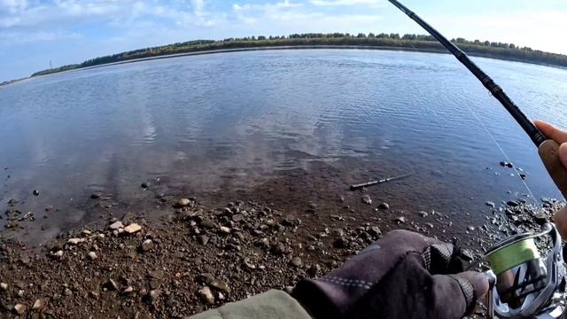 Жерех на пилькер!🎣