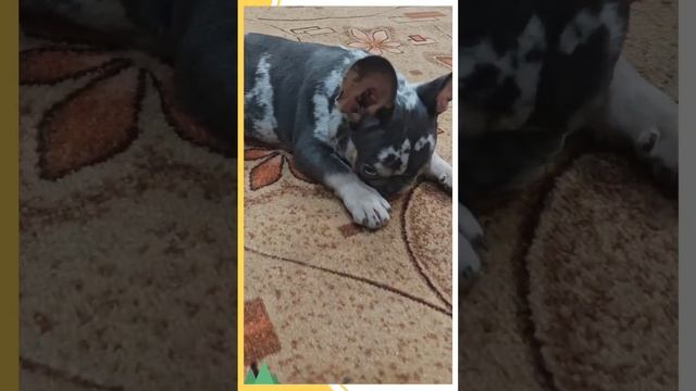 1000000567.mp4
