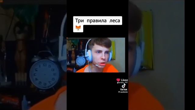 3 правила леса