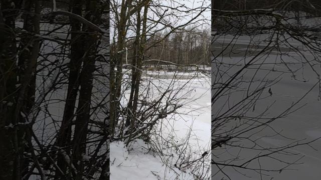 Погоды, у нас стоят новогодние