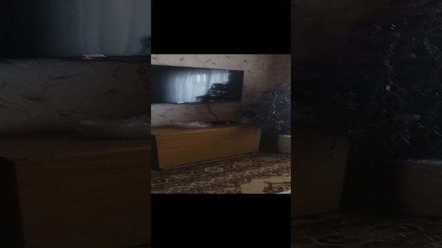 VID_20250104_111232