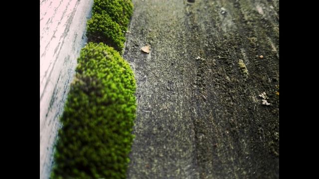 Edwin Ruys - Alone (Official Audio)