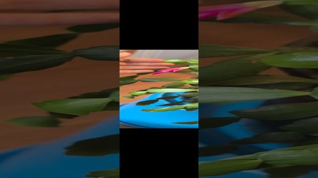 VID_20250104_114333.mp4