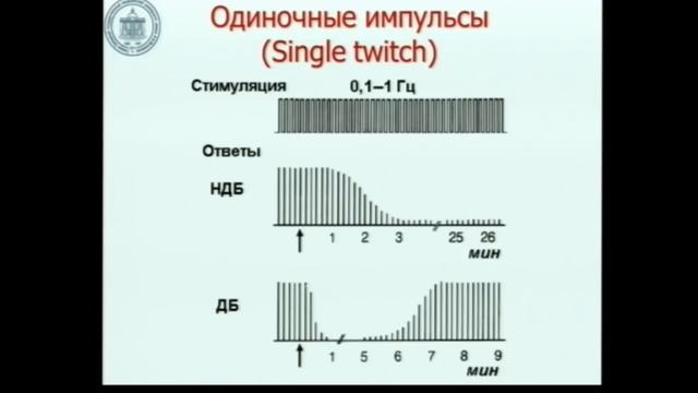 Физиология нейро-мышечного соединения Лебединский К.М