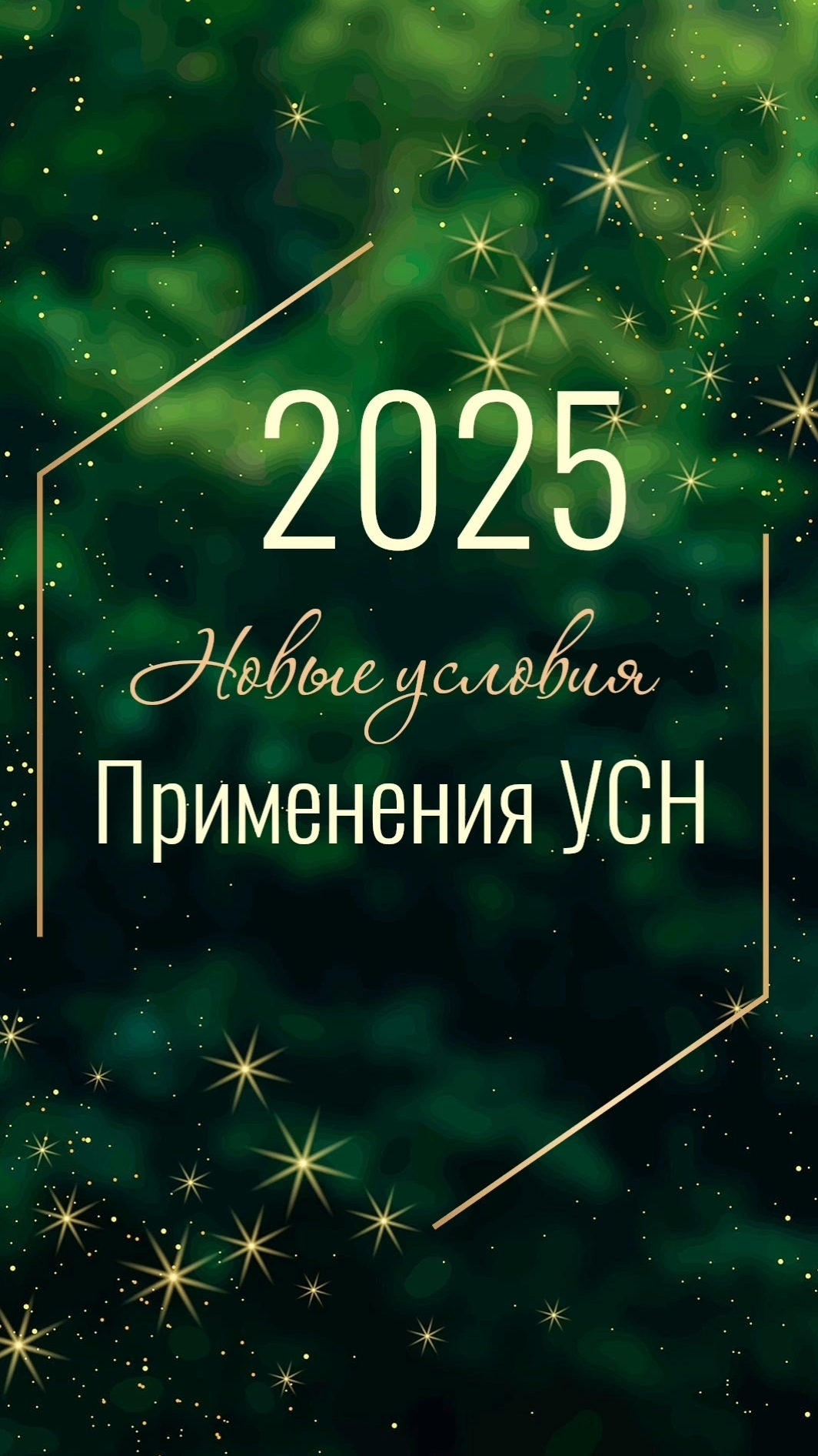 УСН. Важные изменения с 2025 года.mp4