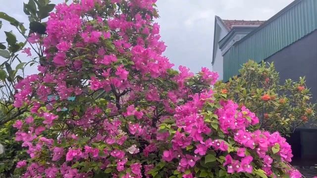 Родители невесты приняли сержанта из ВДВ за уклониста… Того, как поступил зять, не ожидал никто