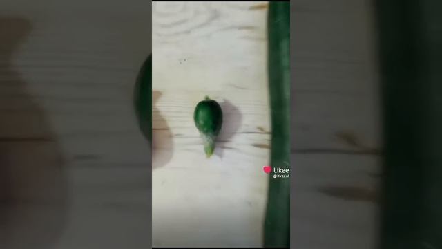 Ирина огурцов