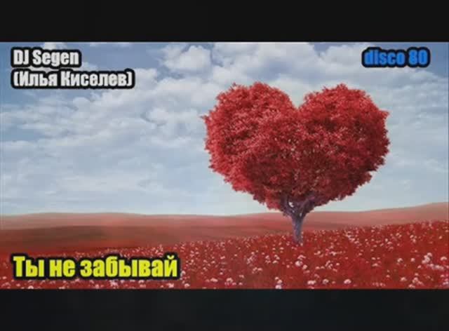 DJ Segen(Илья Киселев) Ты не забывай