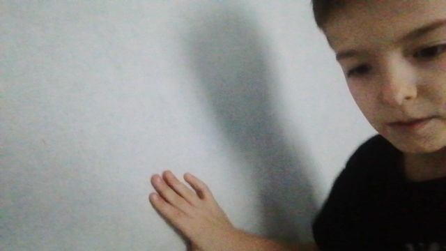 VID_20250104_120831.mp4