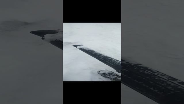 Воздуходувка Олео Мак против снега. Заменит ли лопату?