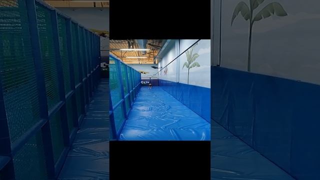 VID_20240908_124946.mp4