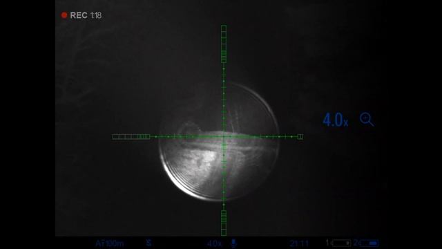 Pulsar Digex N455. Цифровой прицел для охоты. Обзор, отзыв охотника. | 2020
