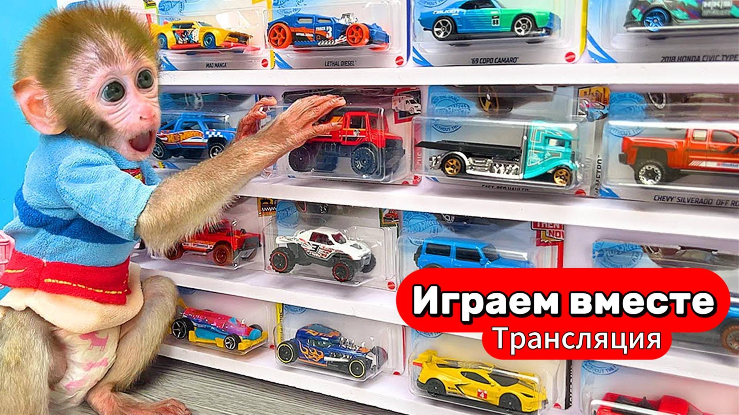 Приключения Обезьянки и друзей 🐒🐒 Трансляция для детей