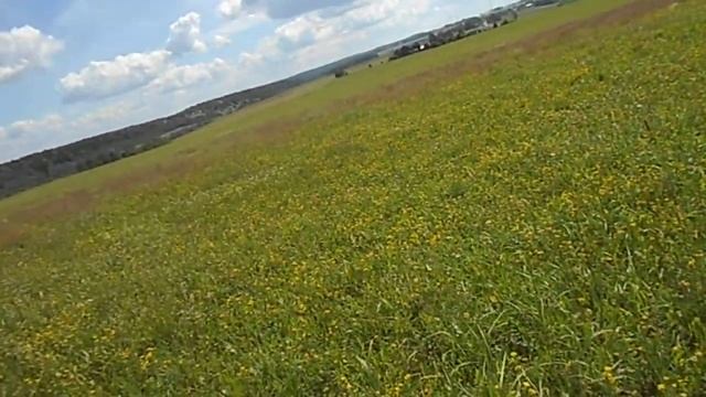 Природа  Twenty Five