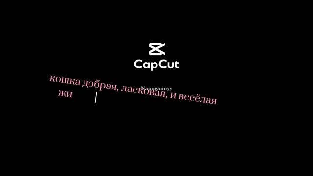 кошка Лола лежит на батарее(которая греет).