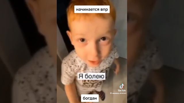 мемы