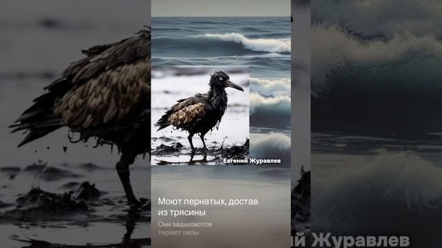 Катастрофа в Анапе. Разлив мазута на черноморском побережье