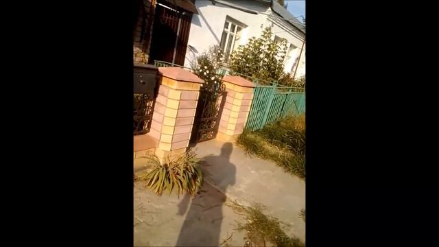Фасад  Моя работа