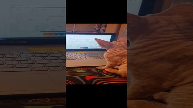 1000109729.mp4