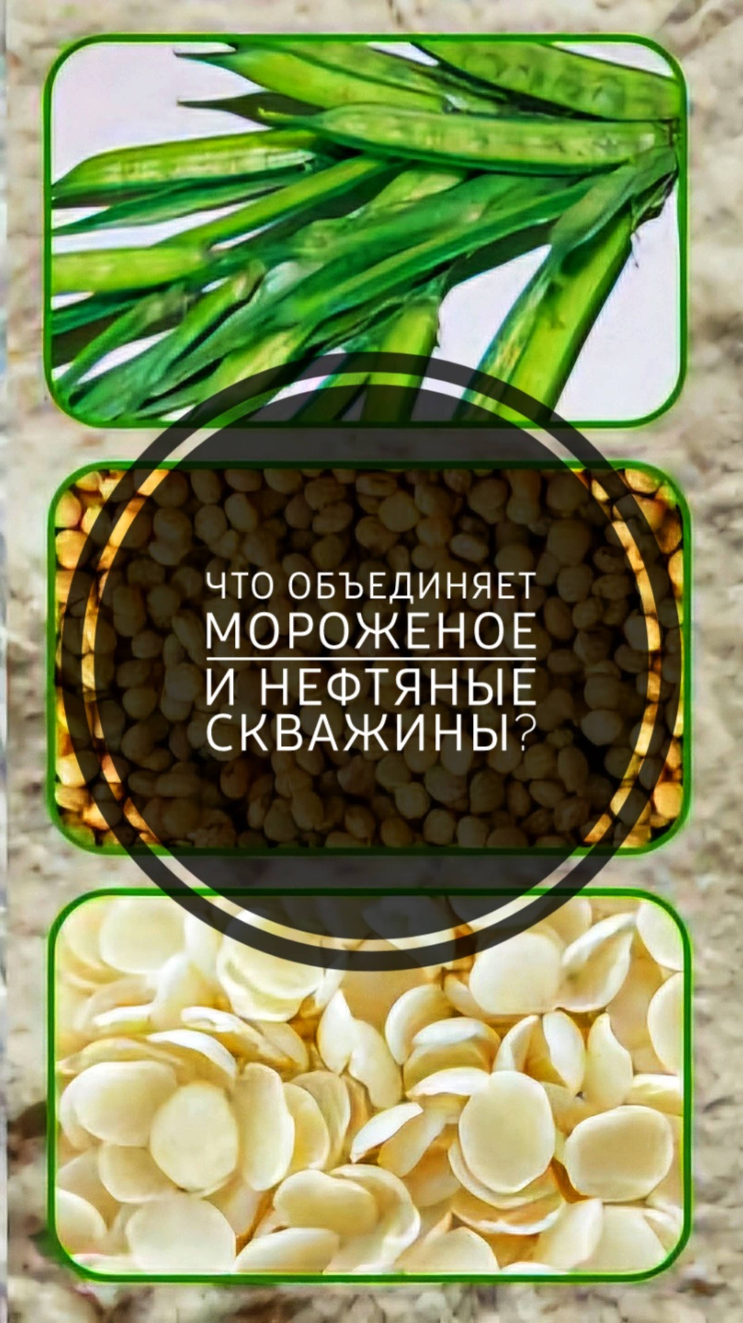 Что объединяет мороженое и нефтяные скважины?

#чтотыешь #пищеваяиндустрия #пищеваяхимия