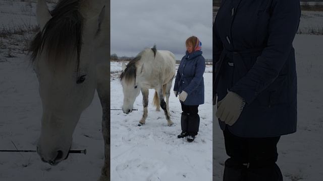 Лилия занимается с Фаиром. 03.01.25, Конерадость