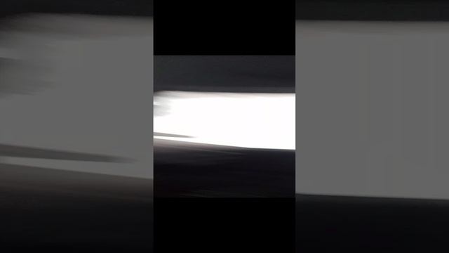 VID_20250104_115519