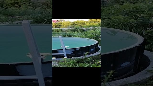 VID_20240712_061759.mp4
