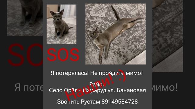 Нашли красавицу!