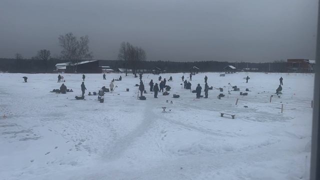 Поимки продолжаются