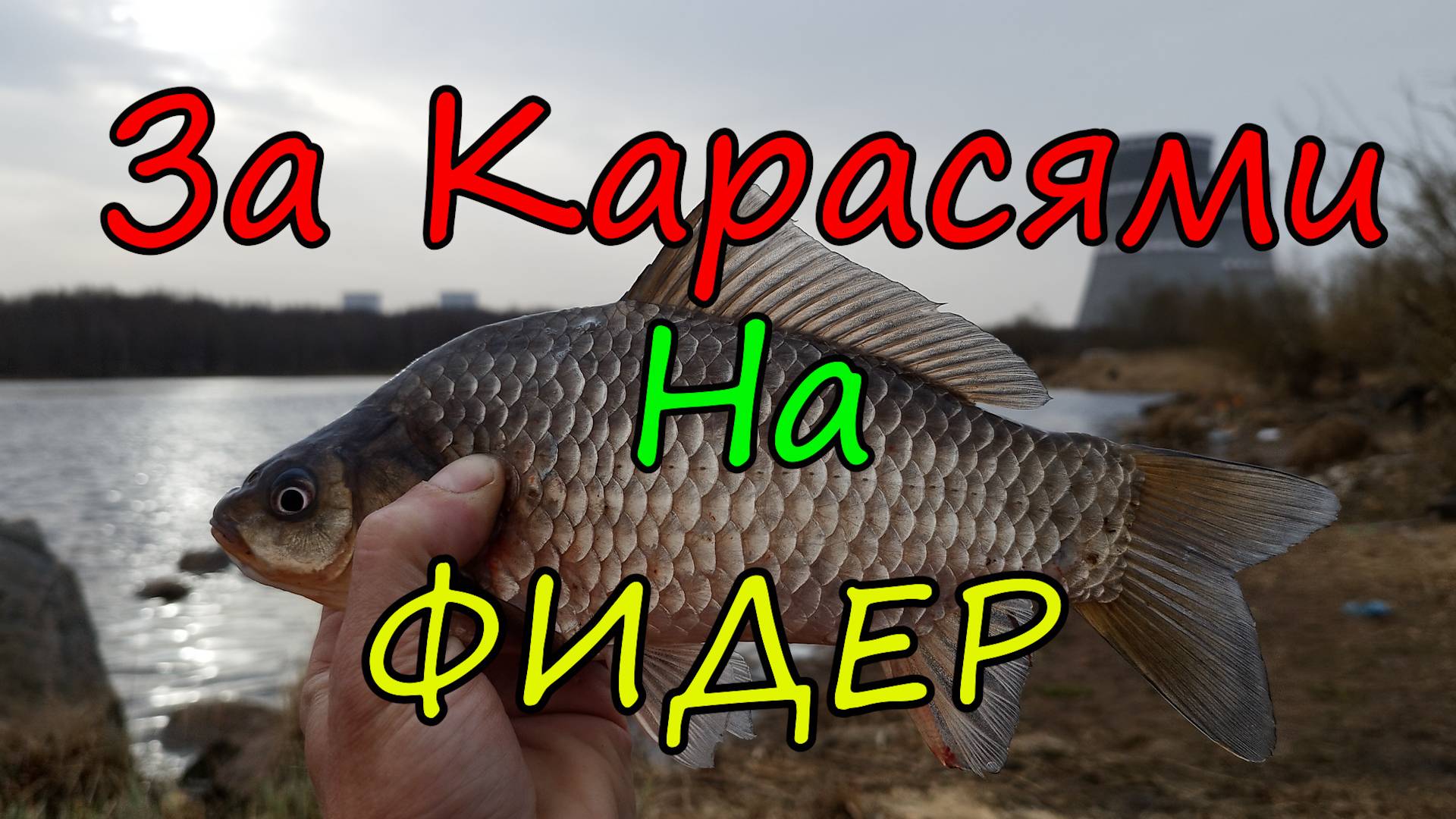 С Фидером За Карасями. Весна пришла , карась проснулся. Тёплый слив АЭС. Атомная Рыбалка.