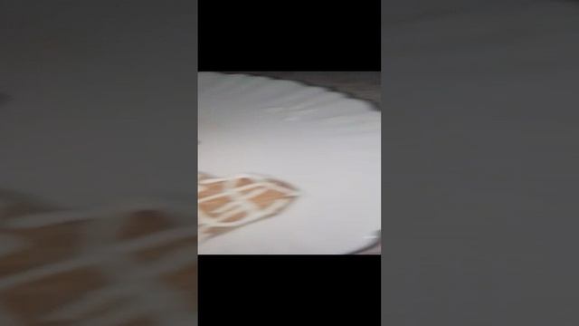 Сделали имбирные печенья 🍪🍯