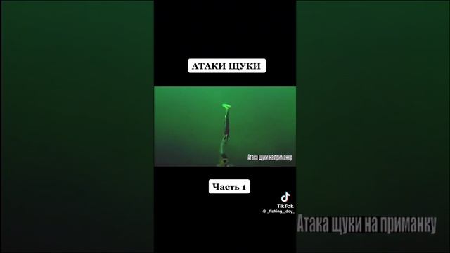 АТАКА щуки