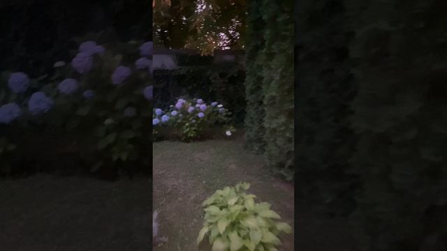 Кому верить, а кому нет, я выбирала сама