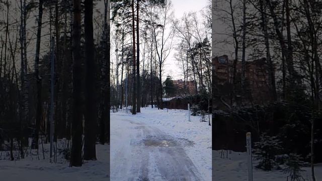 январь, Монино