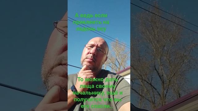 Как грамотно дать леща начальнику)