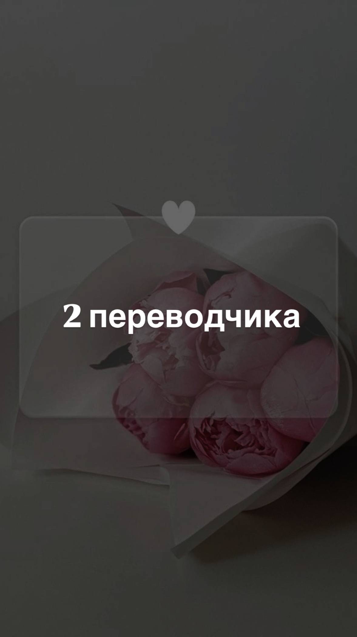 2 переводчика