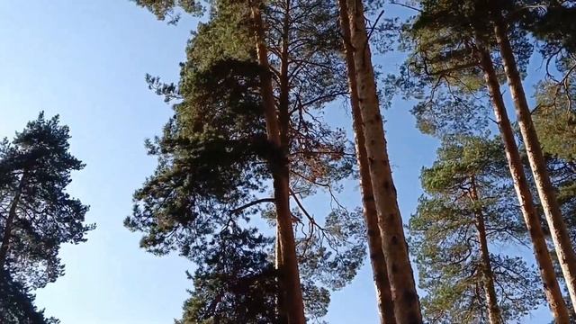 Привет с праздника Уражорка