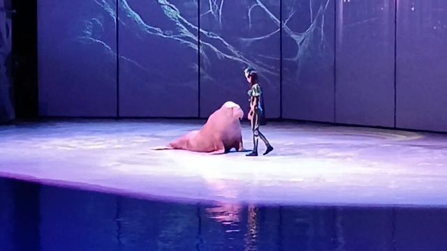 2024-12-25 Москвариум морские животные