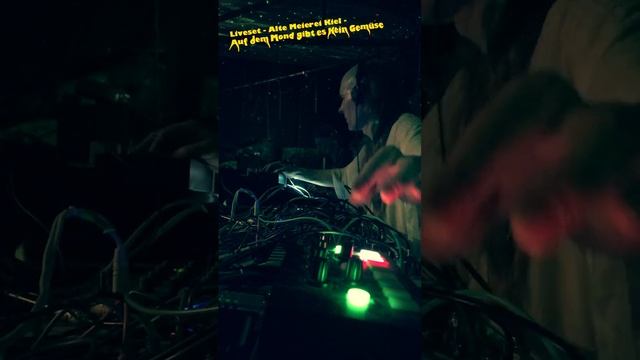 DJ HUNDEFRIEDHOF - Liveset Alte Meierei Kiel 2024 - Auf dem Mond gibt es kein Gemüse
