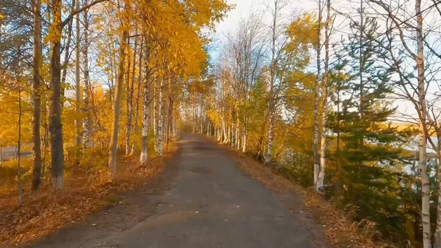 «Под северным небом Печоры» песня