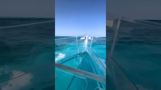 VID_20250104_171244_650.mp4