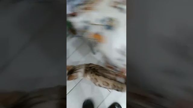1000147210.mp4