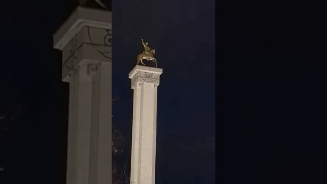 petal_20250104_201841.mp4