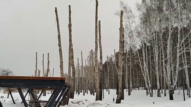 ПРОГУЛКА, ОБЗОР НОВОЙ НАБЕРЕЖНОЙ / Деревенька на Урале // Выпуск-12