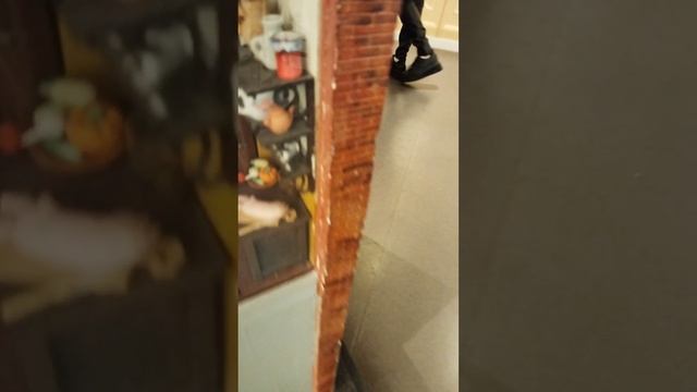 Каменданский дом часть 2